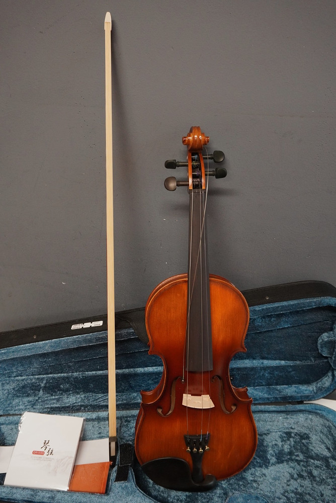 Unlabeled Violin with Case