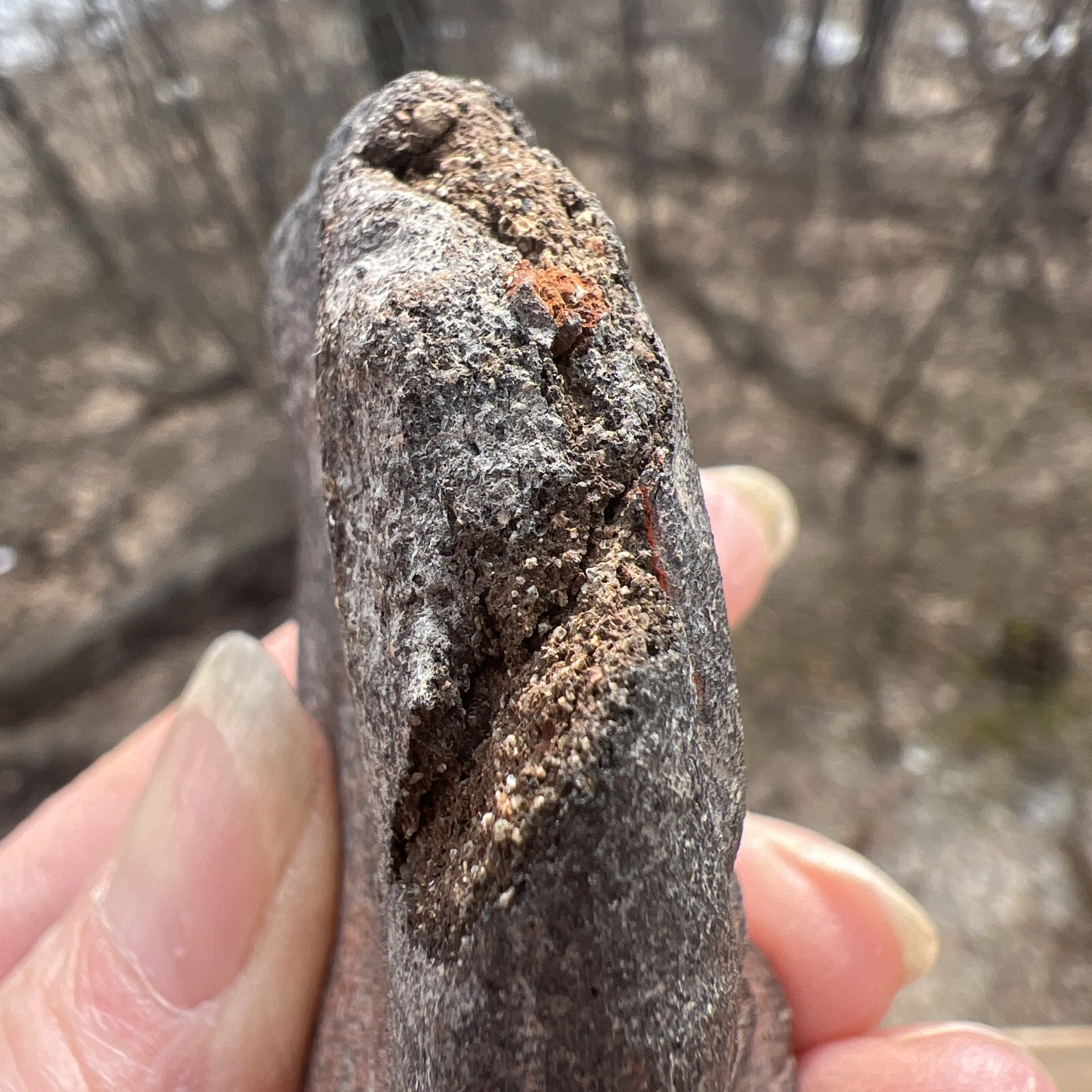 Carved STONE HEAD/EFFIGY May Be Mayan