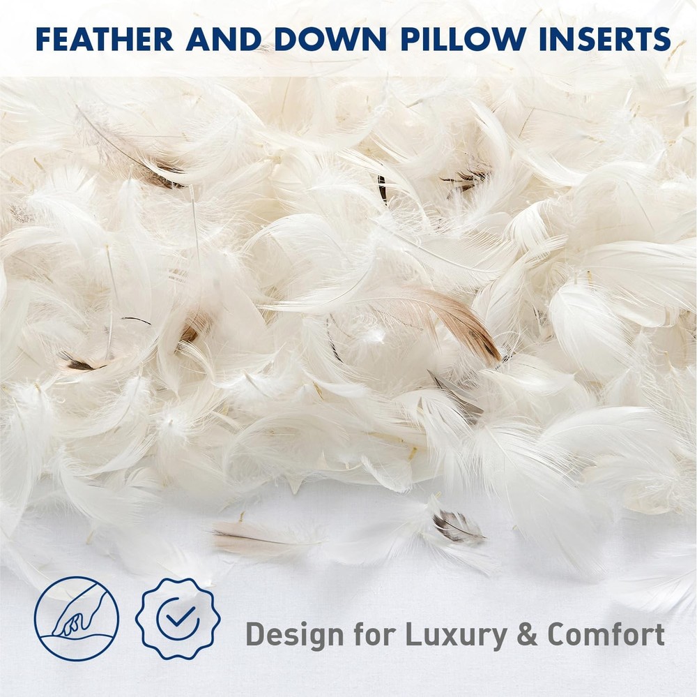 Premium Feather and Down 20x20 Throw Pillow Insert Soft Fluffy Throw Pillow D...