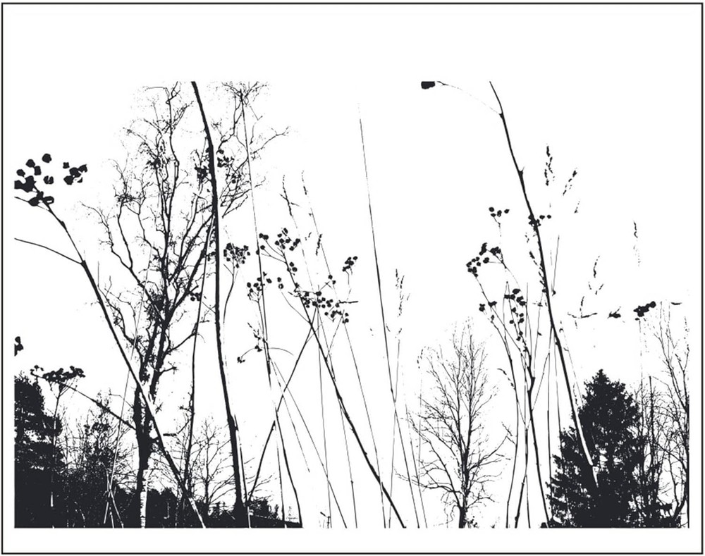 Branches Stems Image Clear Stamp Simple Design Pattern All New HTF Free Shipping