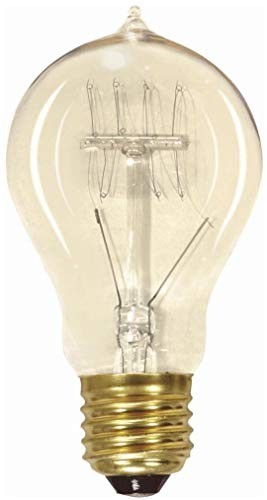 S2419 240 Lumens A19 Incandescent Base Soft White 2700K Medium Quad Loop