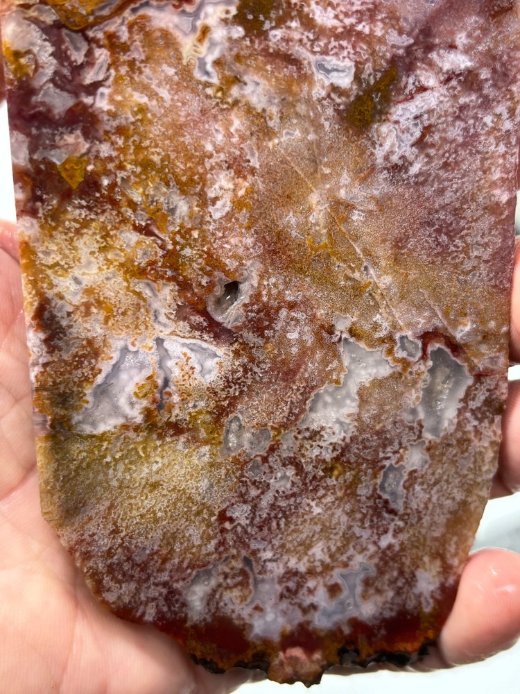 Mexican Red Moss Agate Slab Lapidary Cabbing Combo Ship Avail