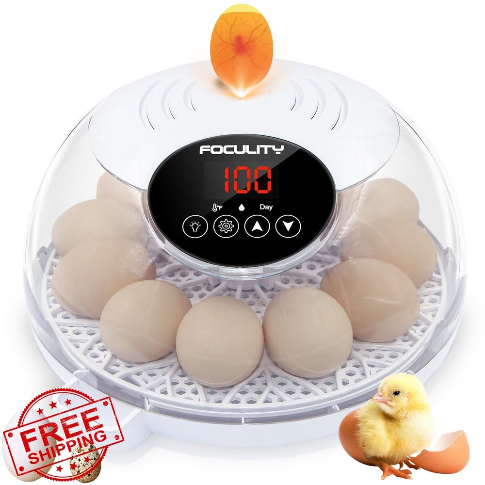 Egg Incubator 12 Eggs Automatic Turner Temp Humidity Display Candler Clear