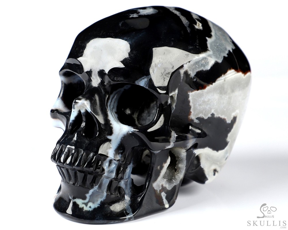 3.3" Black Zebra Agate Hand Carved Crystal Skull, Super Realistic, Healing