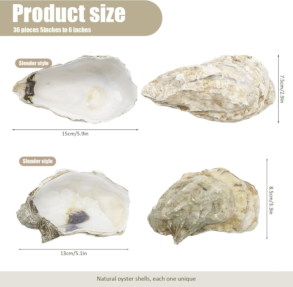 36PCS Oyster Shells 5"-6" Large Oyster Shells Bulk Oyster Shells for Home Decor