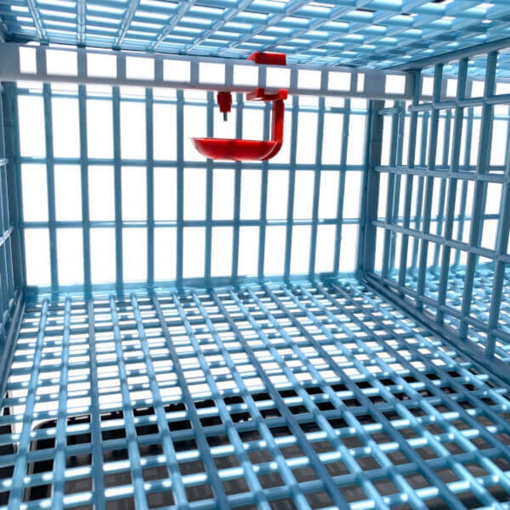 Quail Cage - 5 Layer