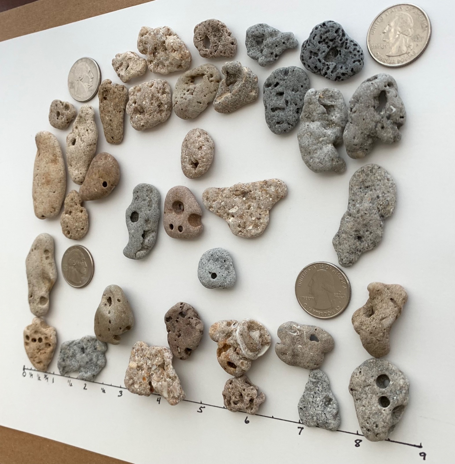 35 Adder Holey Beach Rocks Hag Stones Fairy Lucky Wish Magic Natural 1" #B2 US❤️