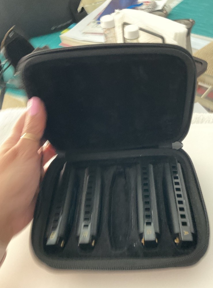 Roadhouse Blues Hohner Harmonica Set