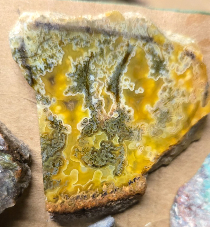 Assorted Agates and Misc., Trimmed Cabochon Slabs Preforms 10 Pcs, Flat 120