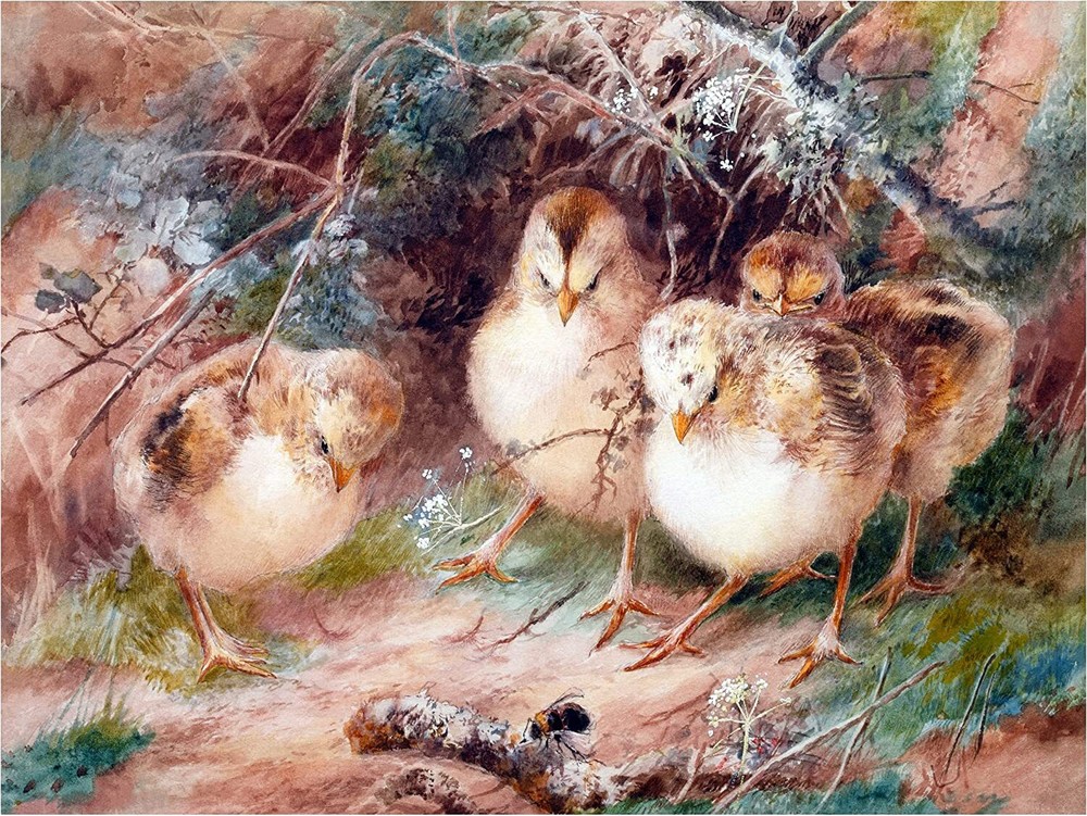Chicks Watching a Bumble Tile Mural Kitchen Bathroom Backsplash Marble Ceramic