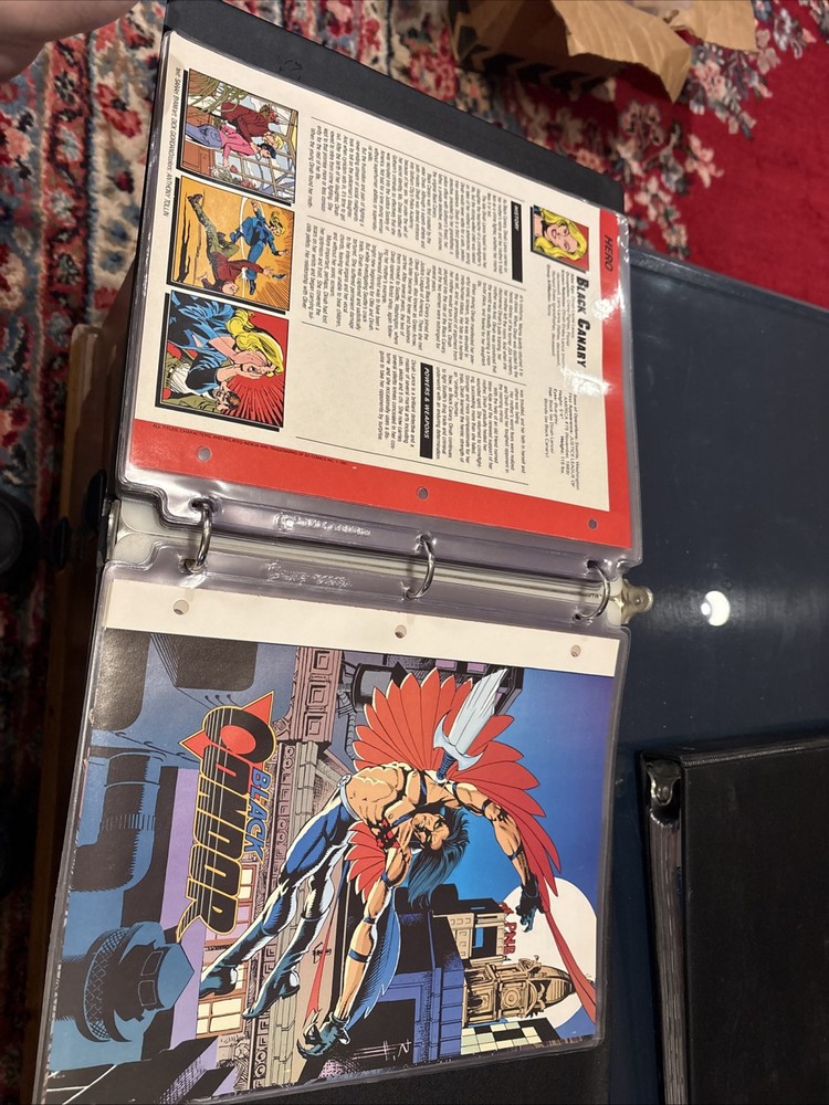 Comic Book Bio Binder