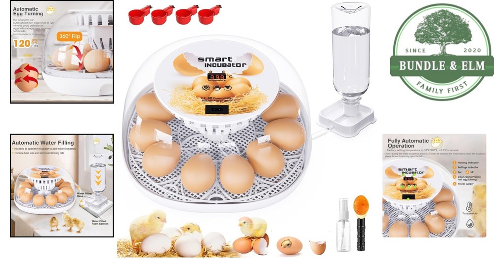 Automatic Egg Incubator for Hatching, Temperature Control & Transparent Lid
