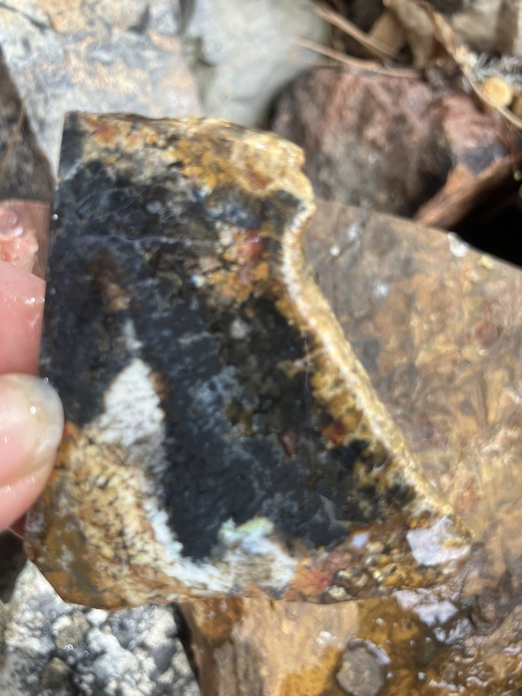 Priday Plume Agate Slab (Oregon)