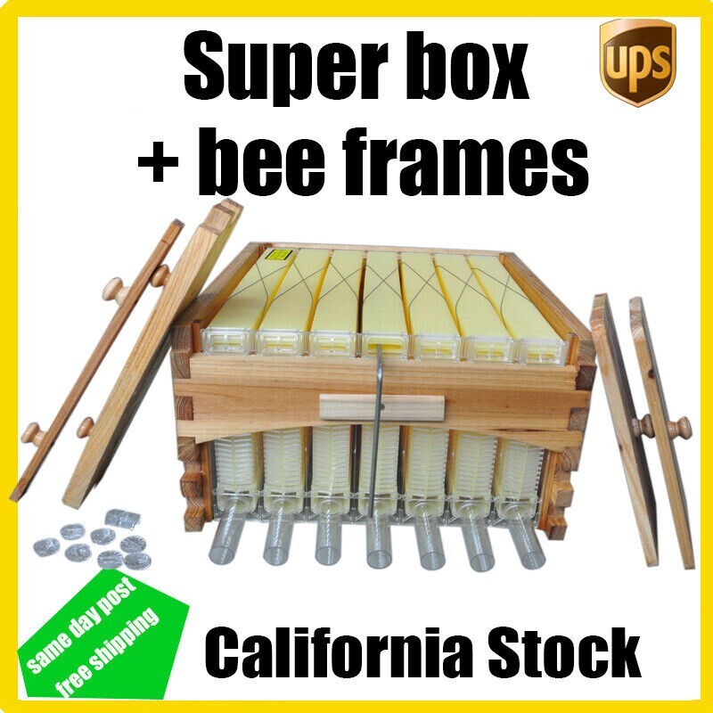 Auto Shed Bee Hives Super Box Beekeeping Hives + 7x Bee Hive Frames Bee Frames