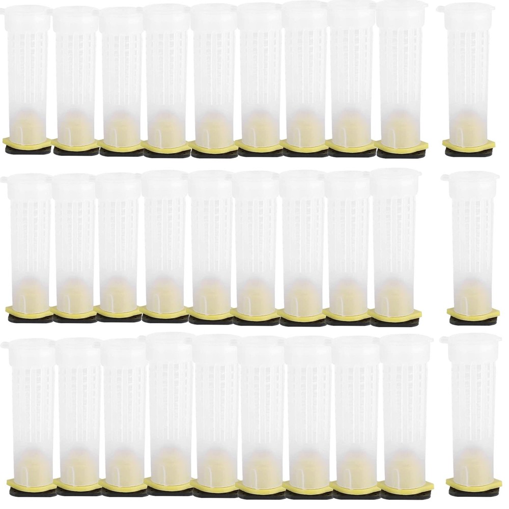 30pcs Queen Bee Roller Cages -Plastic Beekeeping Rearing Cup Kit bee...