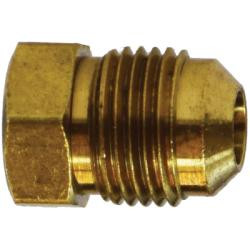 10063 Plug, 3/16 in Flared, Brass (2 Pack)