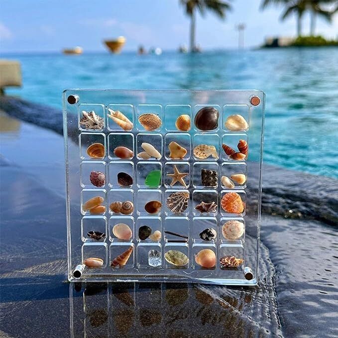 Acrylic Magnetic Seashell Display Box, 36/64/100 Grids Seashell Display Box
