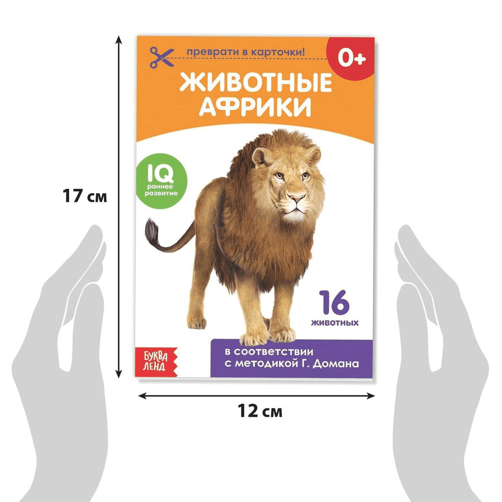 Doman Method Russian Flashcard Book Set for Learning Set 8 Topics from Farm