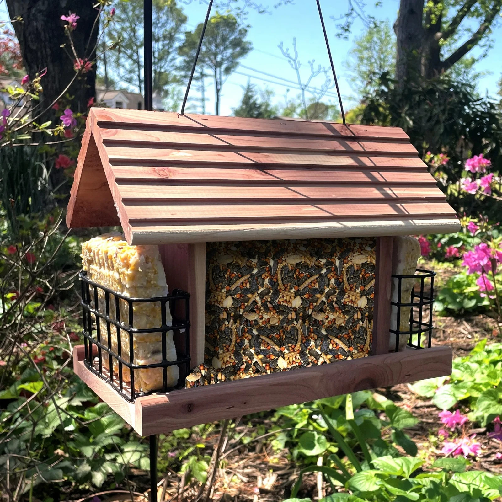 Pennington Fresh Wild Bird Suet - 8 Pack 11.75oz,Feeding Frenzy Berry Treat Cake