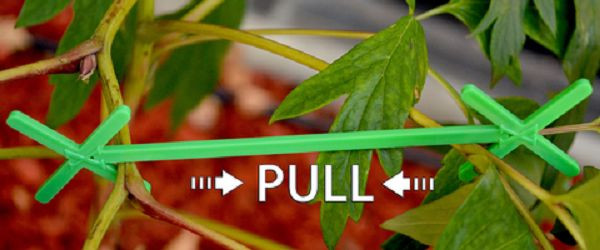 Quick Stix Plant Help 100pc PACK  12" CANOPY Management Plant Support SAVE