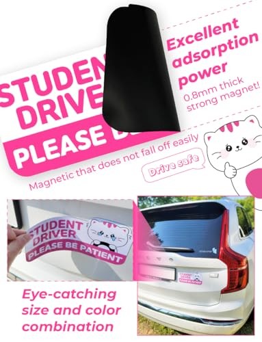 Student Driver Car Magnet Cute - Weather - Resistant Colorful - Rectangular Cat