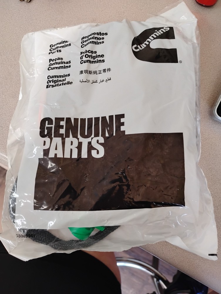 OEM Cummins Electrical Wiring Harnes 3164752