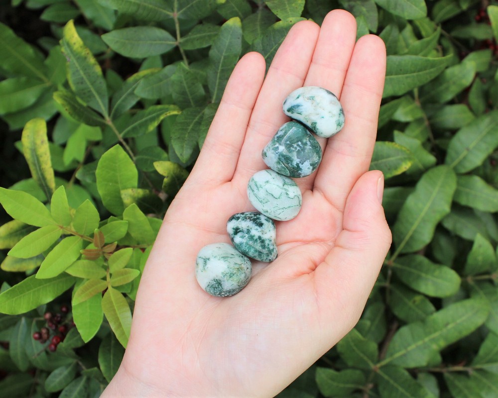 1/2 lb Bulk Tree Agate Agate Tumbled Stone (8 oz) Crystal Healing Dendric Agate