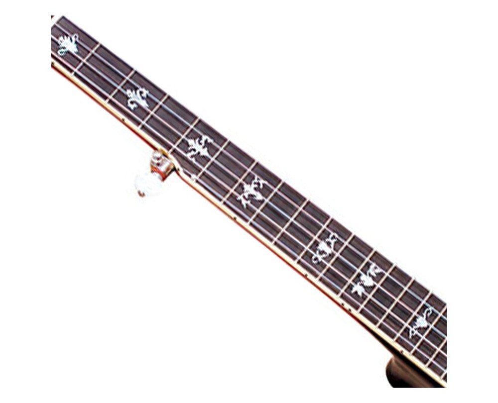 Gold Tone CEB-5 5-String Cello Banjo