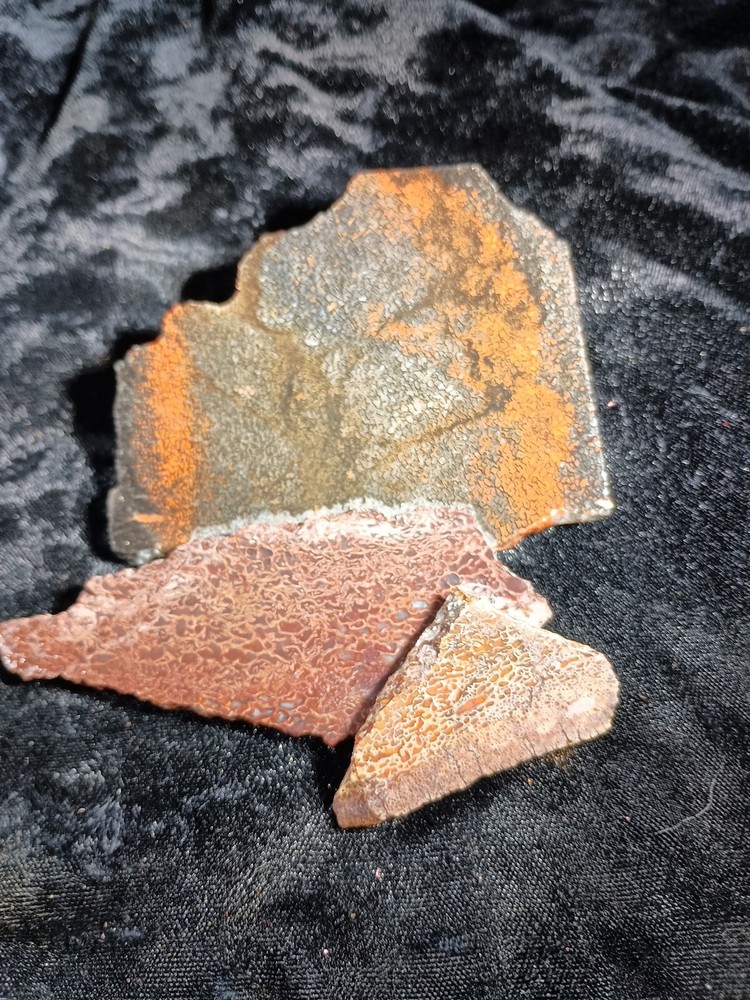 Dinosaur Bone Slabs Utah Rough 125 grams
