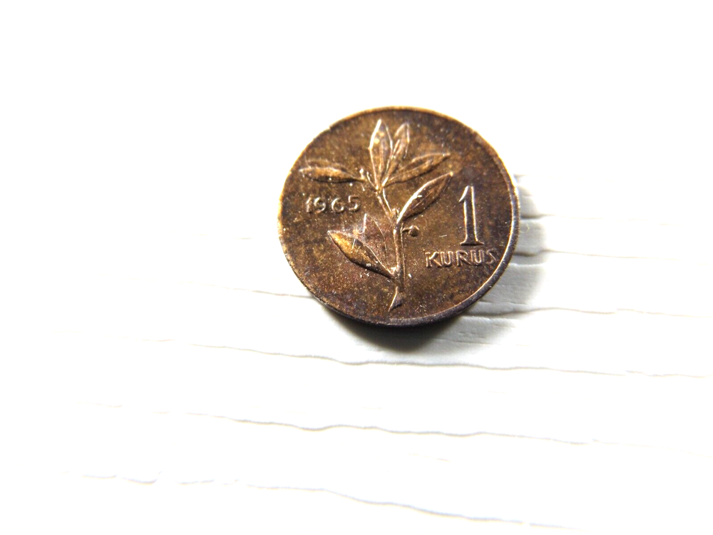 TURKY 1965 1 Kurus
