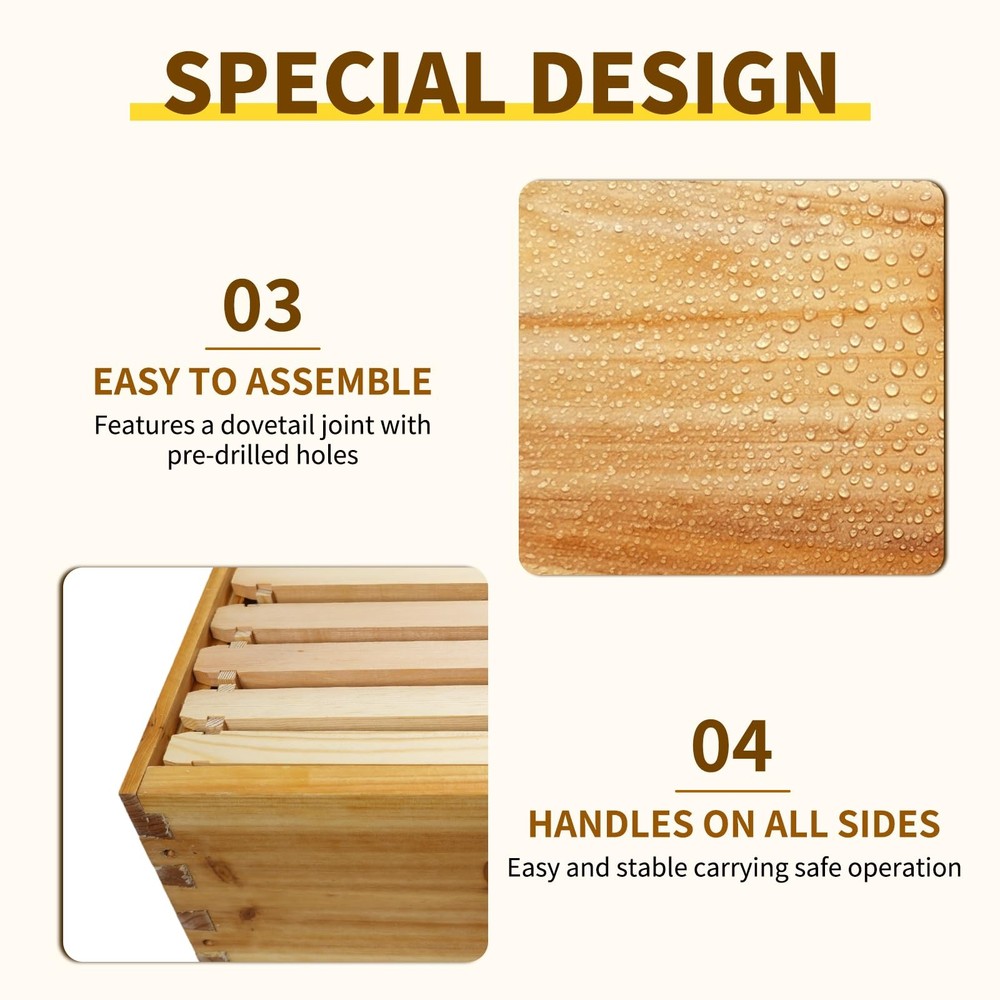 BeeQuestify 10 Frame Bee Hive Box Langstroth Deep Brood Dipped 10pcs
