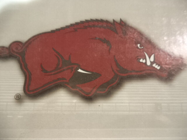 Arkansas Razorbacks Billiard Ball Set