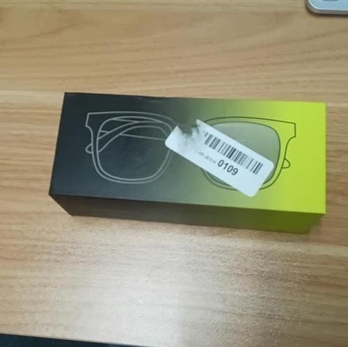 Smart Glasses Model GS-02