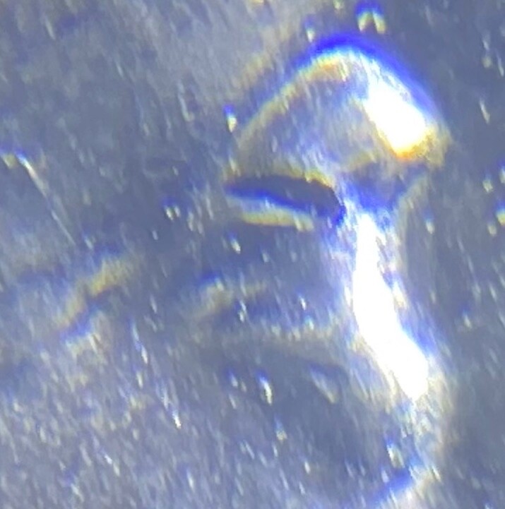 SPITTING WASHINGTON🏧+ERRORS➡️DESC - 2022 Wilma Mankiller Quarter