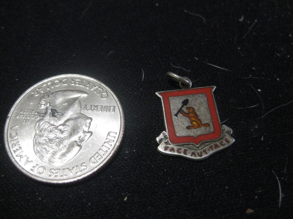 Sterling Silver "Face Aut Tace" Colored Charm