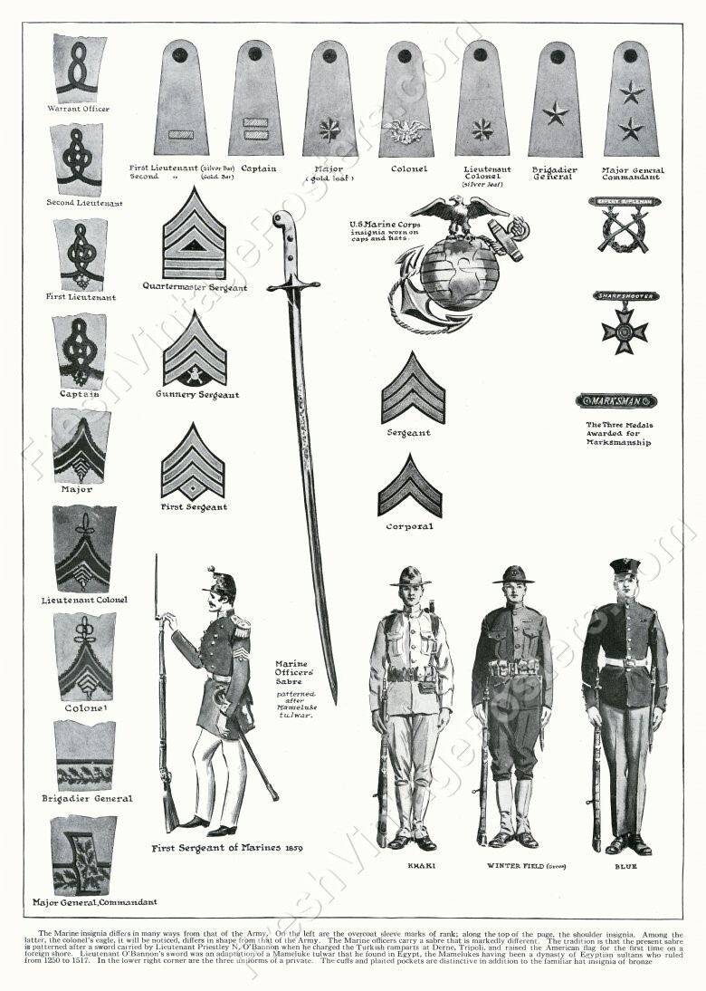 1918 USMC Marines 3 uniform all rank insignia saber WWI art NEW POSTER 18 x24