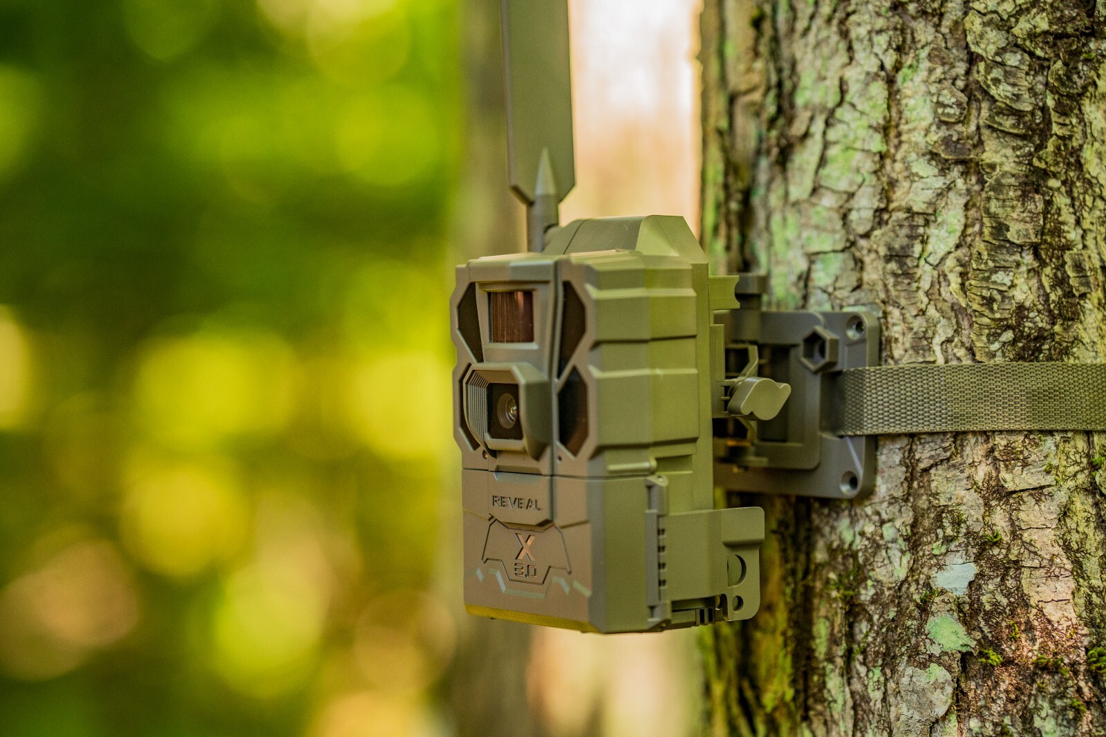 Tactacam Reveal Tree mount