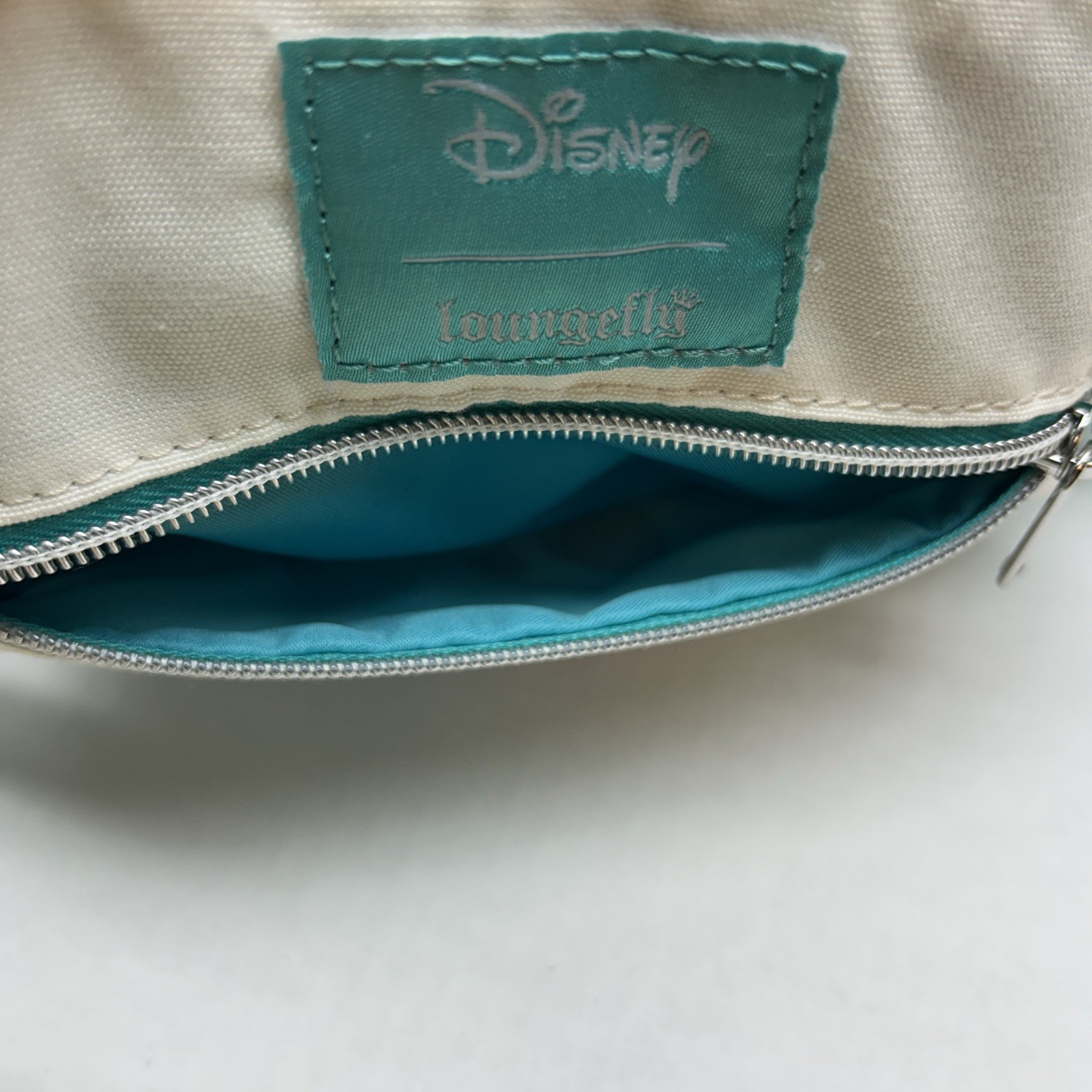 Loungefly Disney Moana Pua & Hei Hei Watercolor Passport Crossbody Bag
