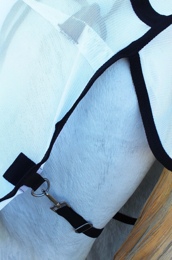 Horse Fly Sheet