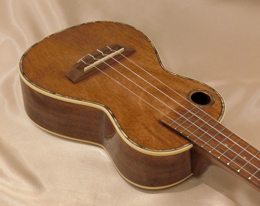 Riptide [Display special price] EUC-5NG