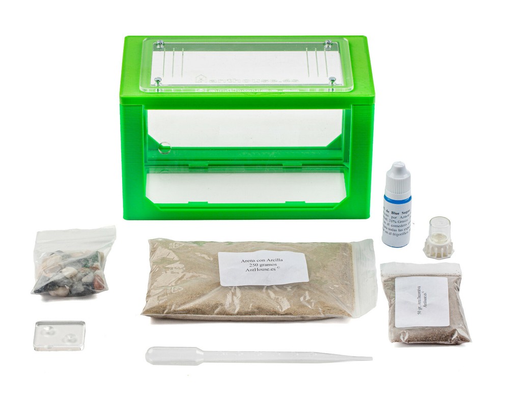 Sand Ant Farm 3D(Anthill, Formicarium, Educational, Ants)