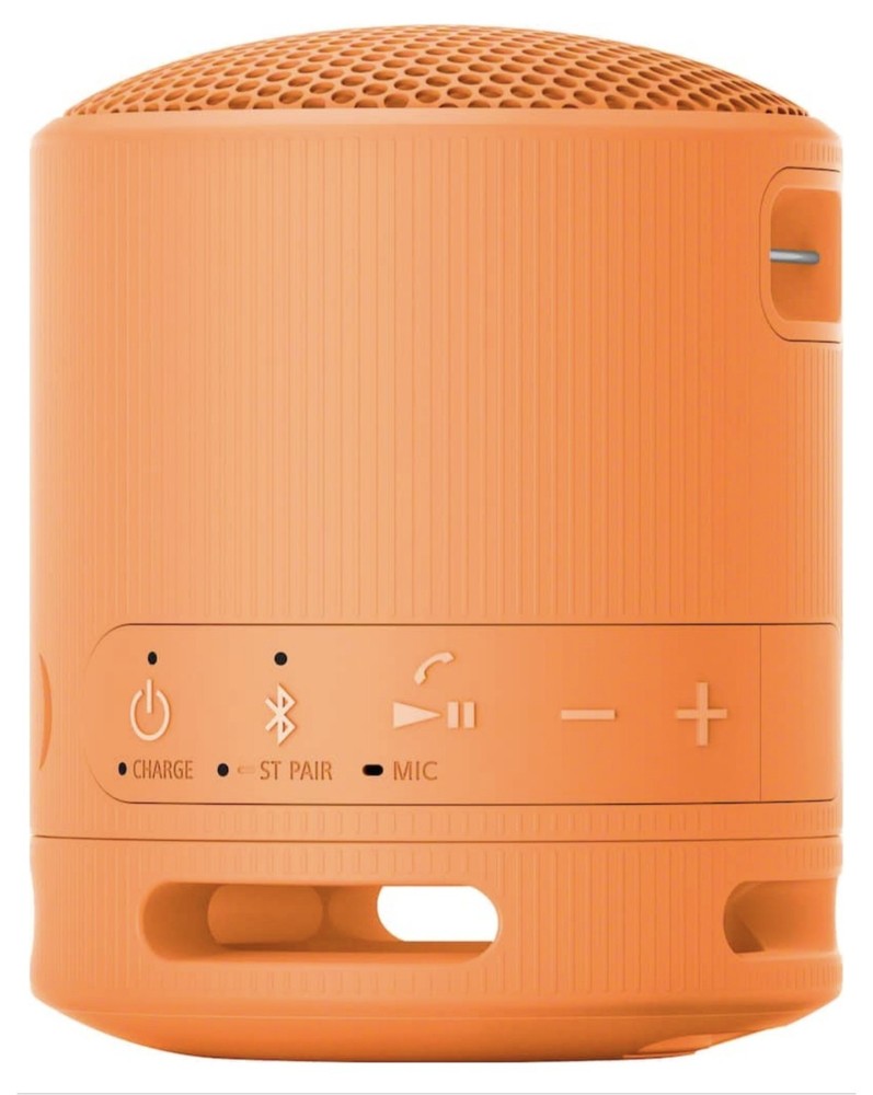 Sony Bluetooth Portable Speaker SRS-XB100