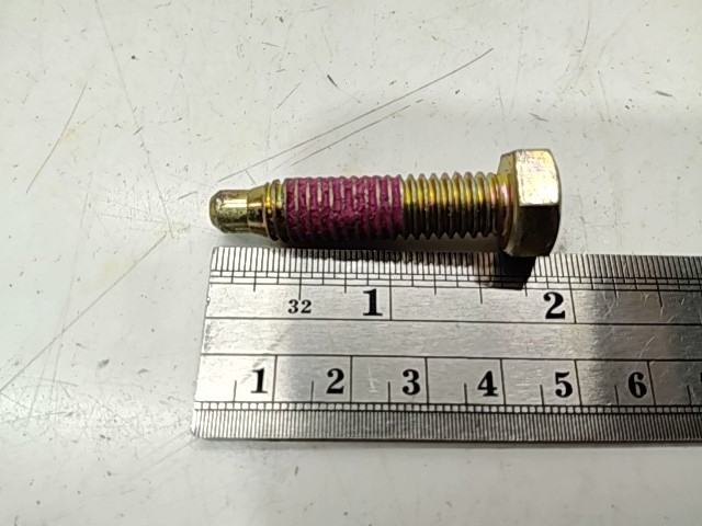 Screw - 2000 Polaris NOS