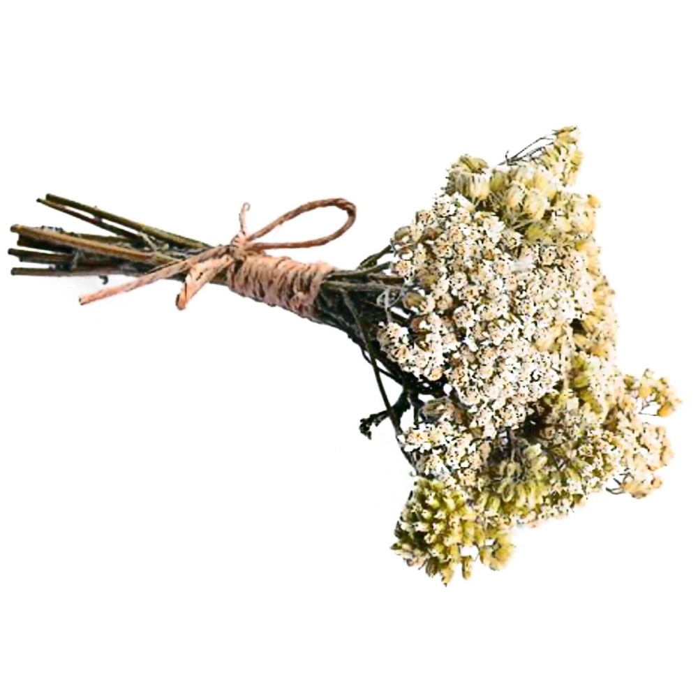 White Yarrow Dried Herb Bouquet