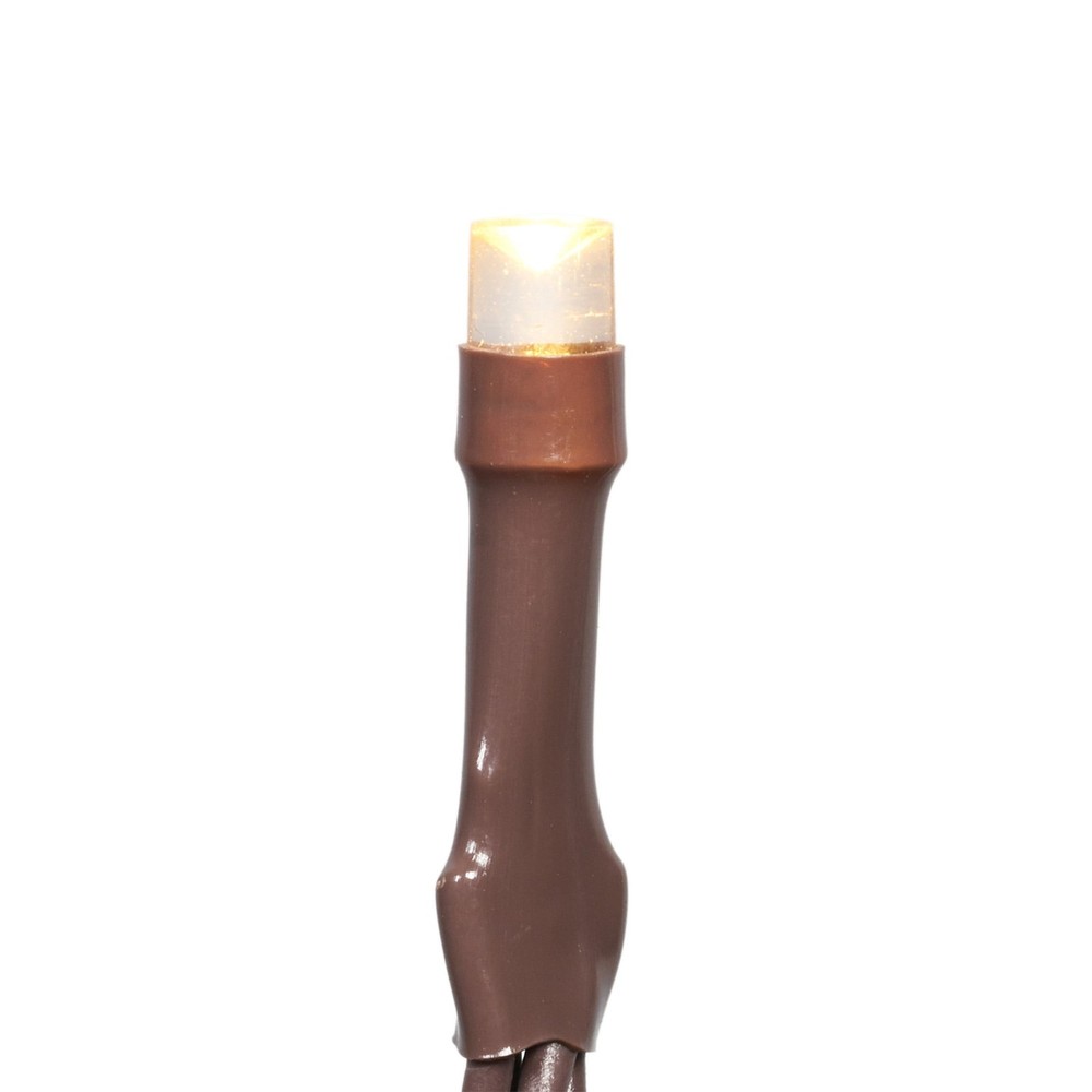 50-Count Warm White LED Solar Powered Mini Outdoor String Lights