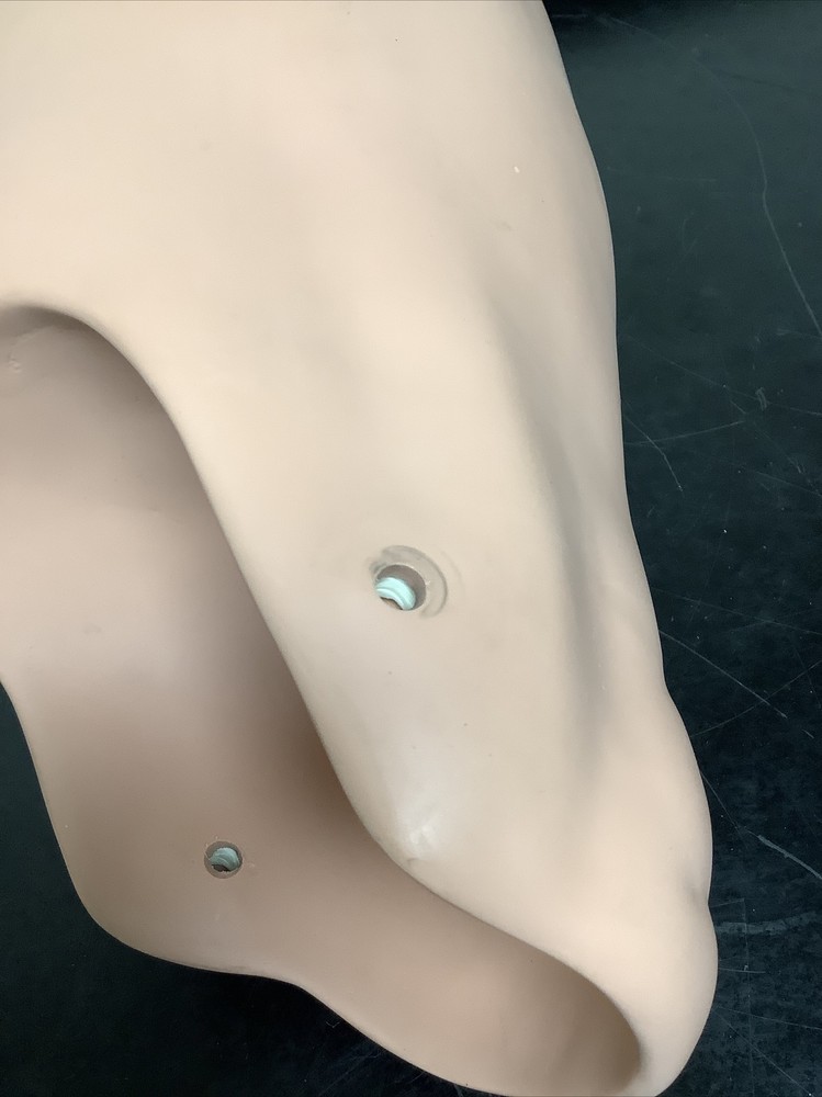 Gaumard Hal Manikin Leg Component