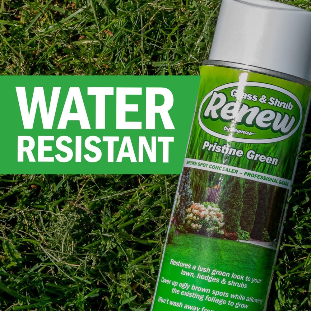 Grass and Shrub Pristine 17 oz. Can Pack of 2