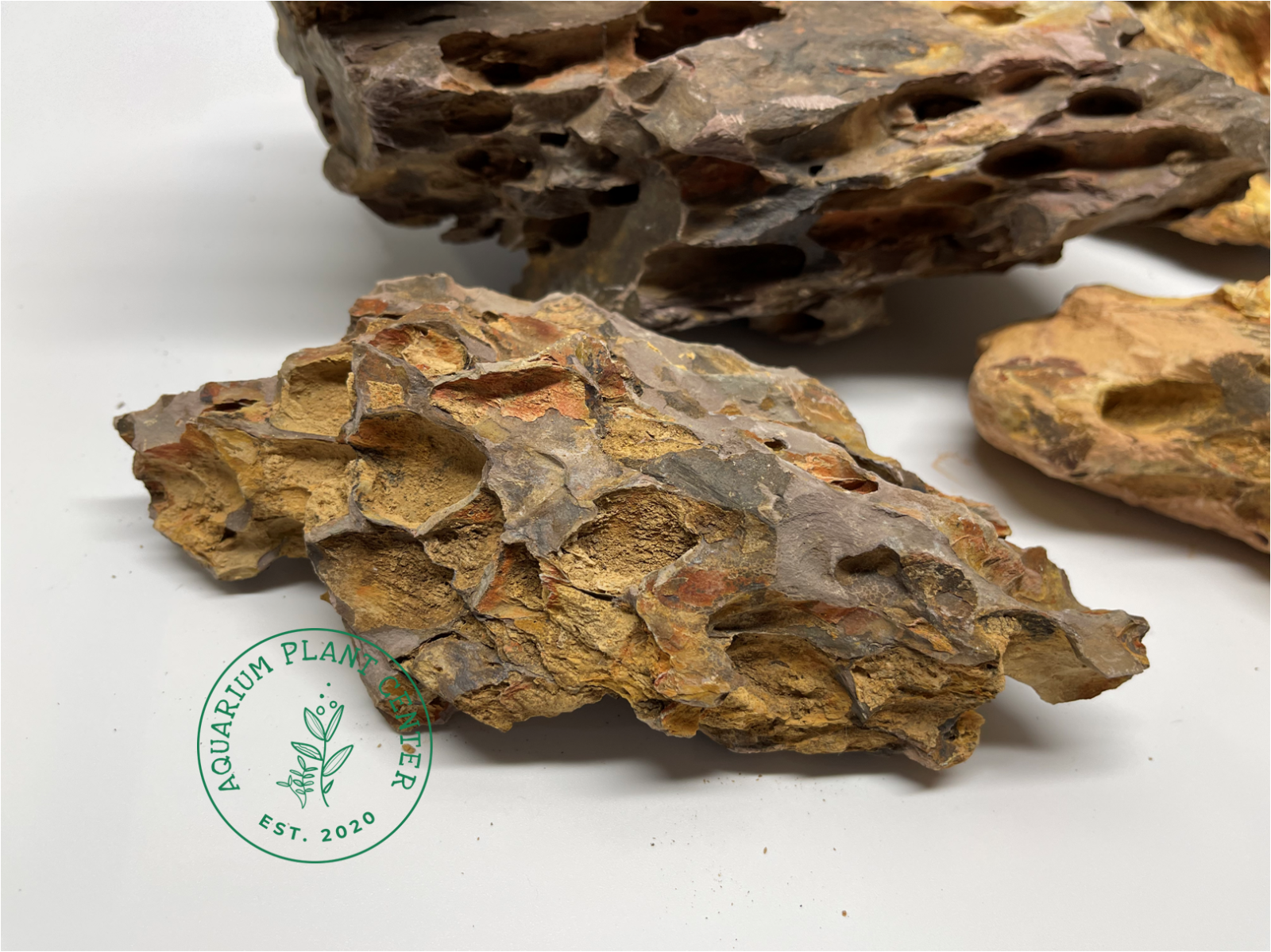 Dragon Stone (Ohko Stone) / Planted Aquarium / Decoration / Hardscape / Aquarium