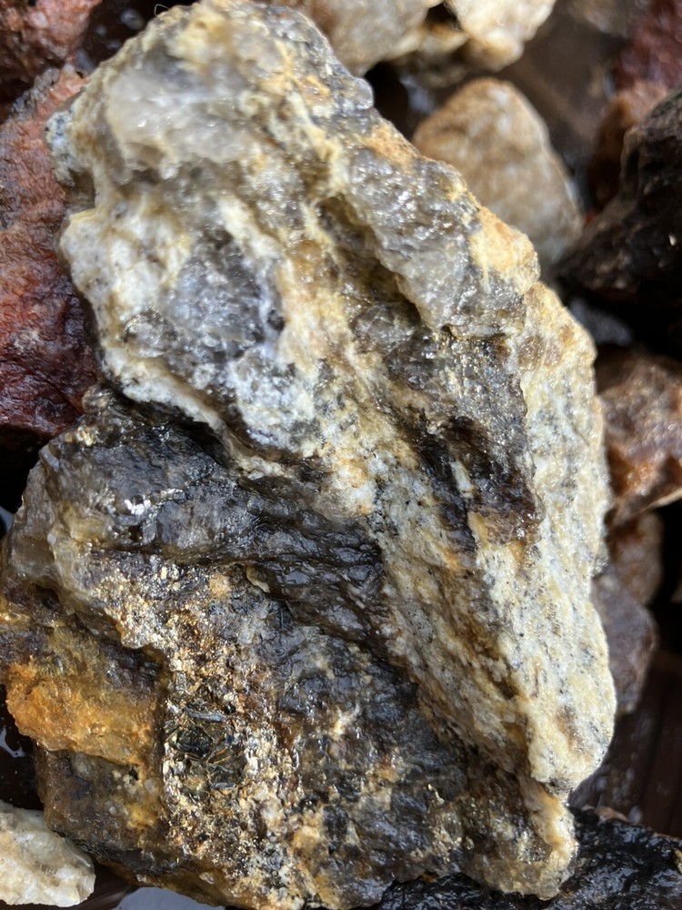 Gold Ore From Julian, CA