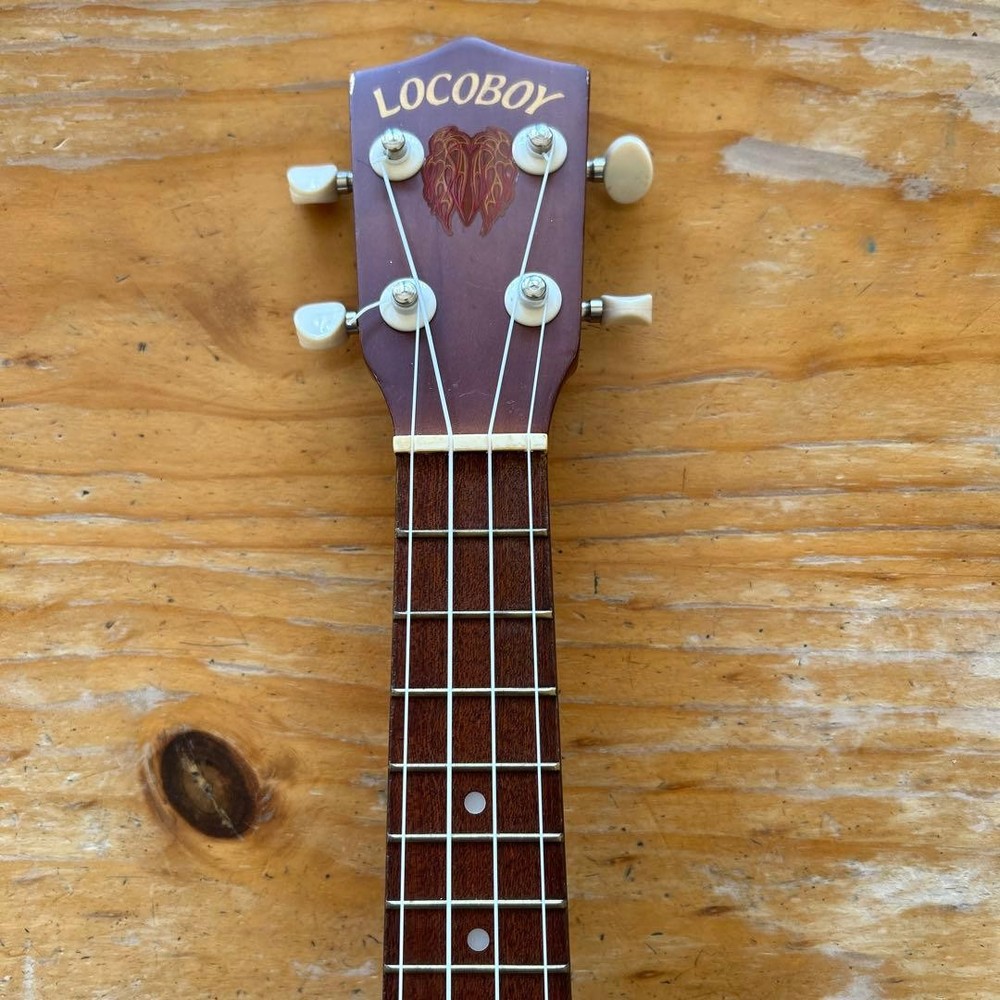 Price reduction! Ukulele with new case